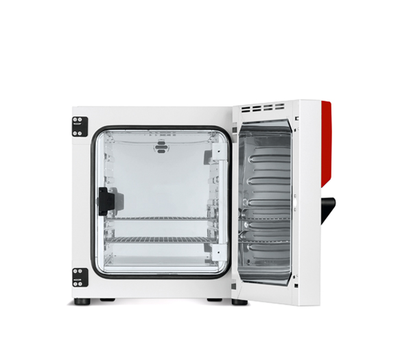 Binder BD 56 Avantgarde.Line - Standard-Inkubator mit natürlicher Konvektion