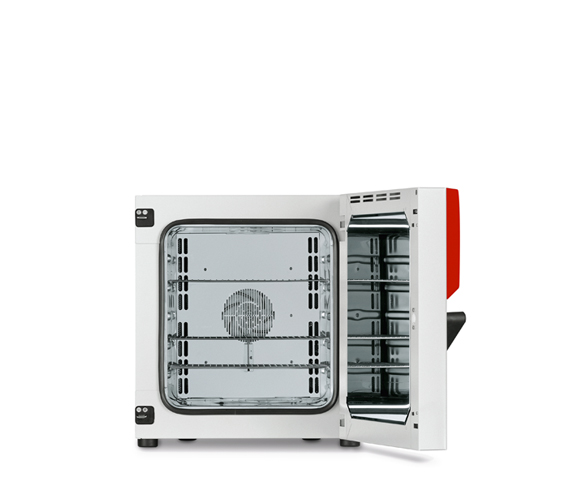 Binder FD 56 Avantgarde.Line - Trocken- und Wärmeschrank mit Umluft