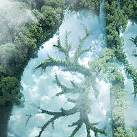 Wärmerückgewinnung_Wärmebehanldung_Industrieofen