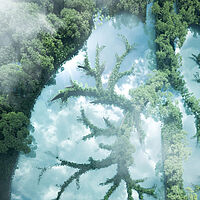 Wärmerückgewinnung_Wärmebehanldung_Industrieofen