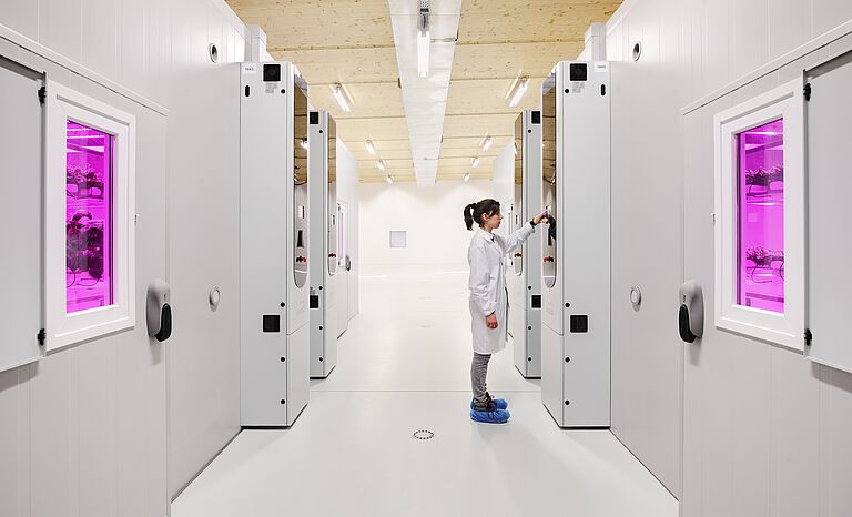 Aralab_turnkey_installation_Plant_Factory_Controlled_Environment_Agriculture_rooms