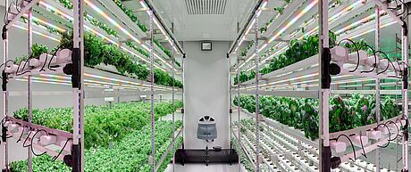 Aralab_turnkey_installation_Plant_Factory_Controlled_Environment_Agriculture_rooms