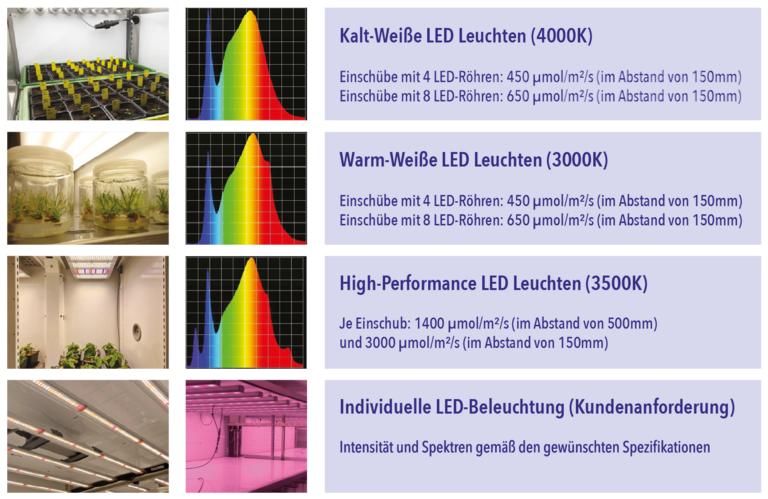 Tabellarische Uebersicht: Lichttypen und deren Eigenschaften