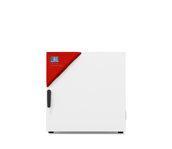 Binder FP 115 Avantgarde.Line - Trocken- und Wärmeschränke mit Umluft und Programmfunktionen 