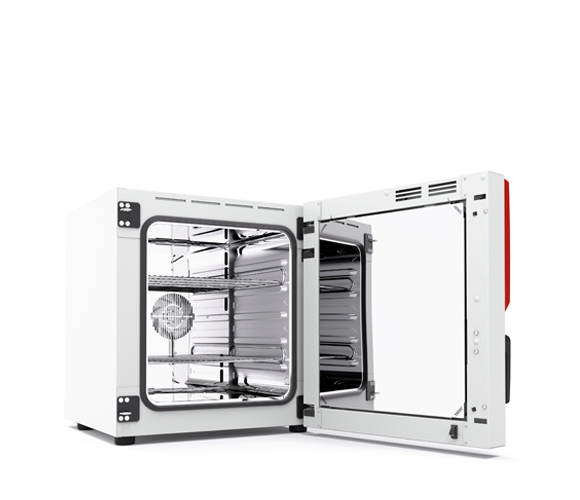 Binder FP 56 Avantgarde.Line  - Trocken- und Wärmeschränke mit Umluft und Programmfunktionen