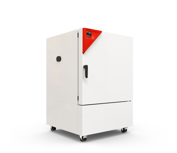 Binder KB 260 - Kühlinkubator mit Kompressortechnologie und Regler RD4