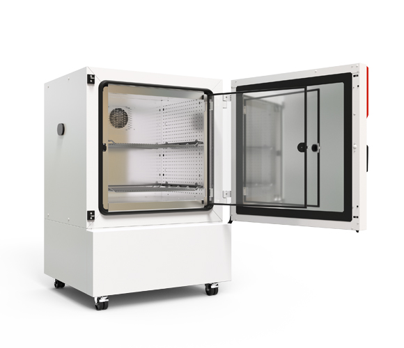 Binder KB 260 - Kühlinkubator mit Kompressortechnologie und Regler RD4