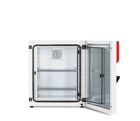 Binder KT 170 - Kühlinkubator mit Peltier-Technologie