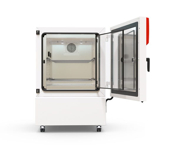 Binder KB 260 - Kühlinkubator mit Kompressortechnologie und Regler RD4